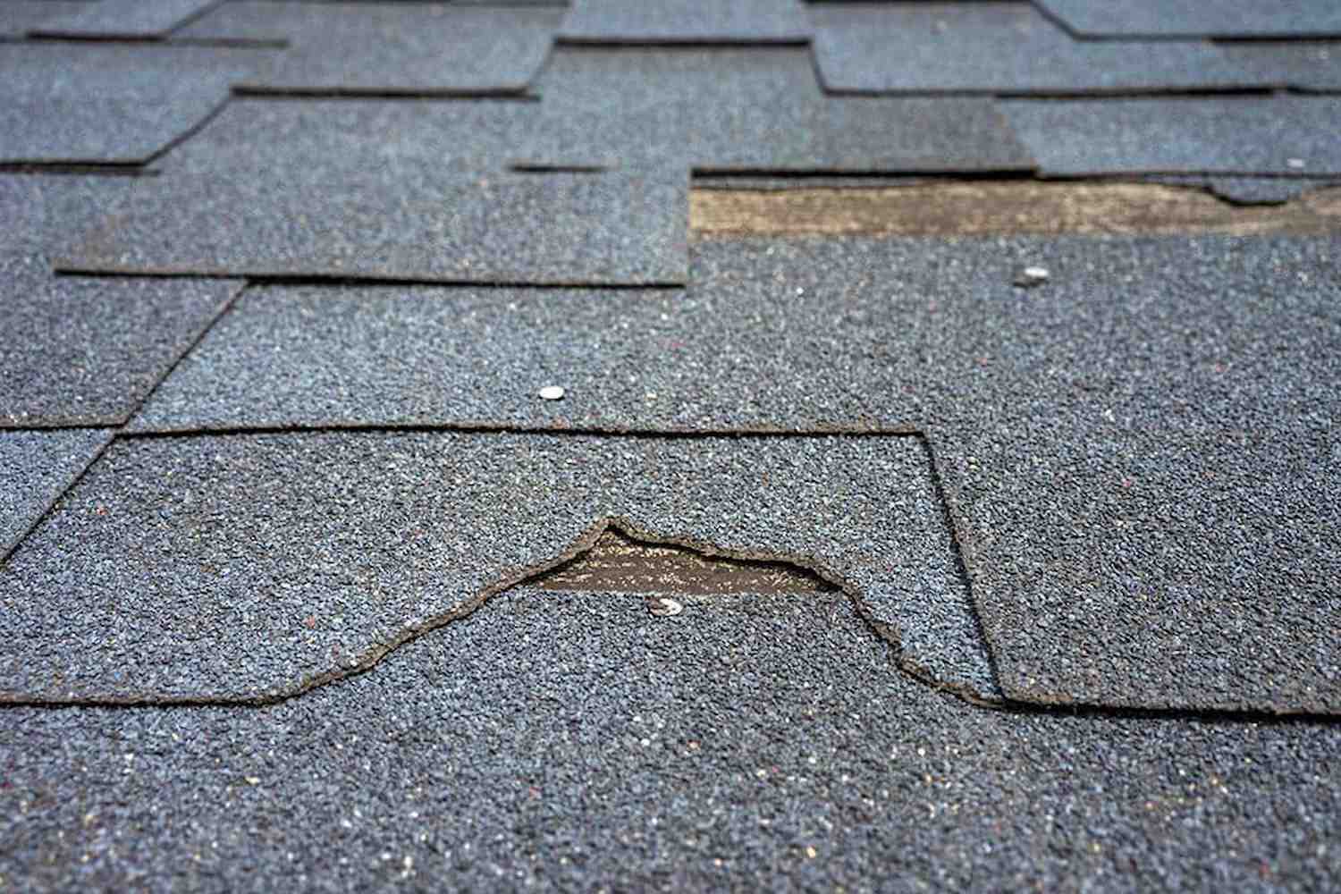 roof damage repair