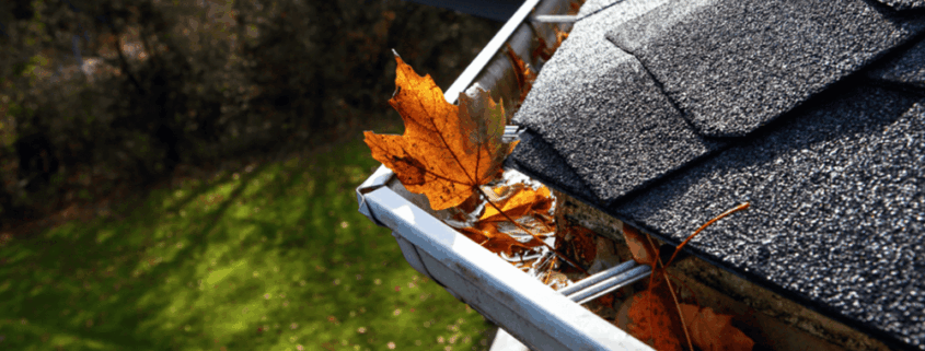 Exterior Projects to Consider for Fall