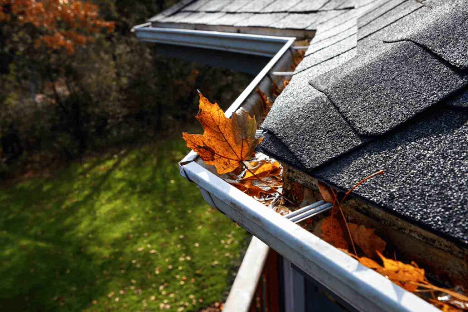 Exterior Projects to Consider for Fall