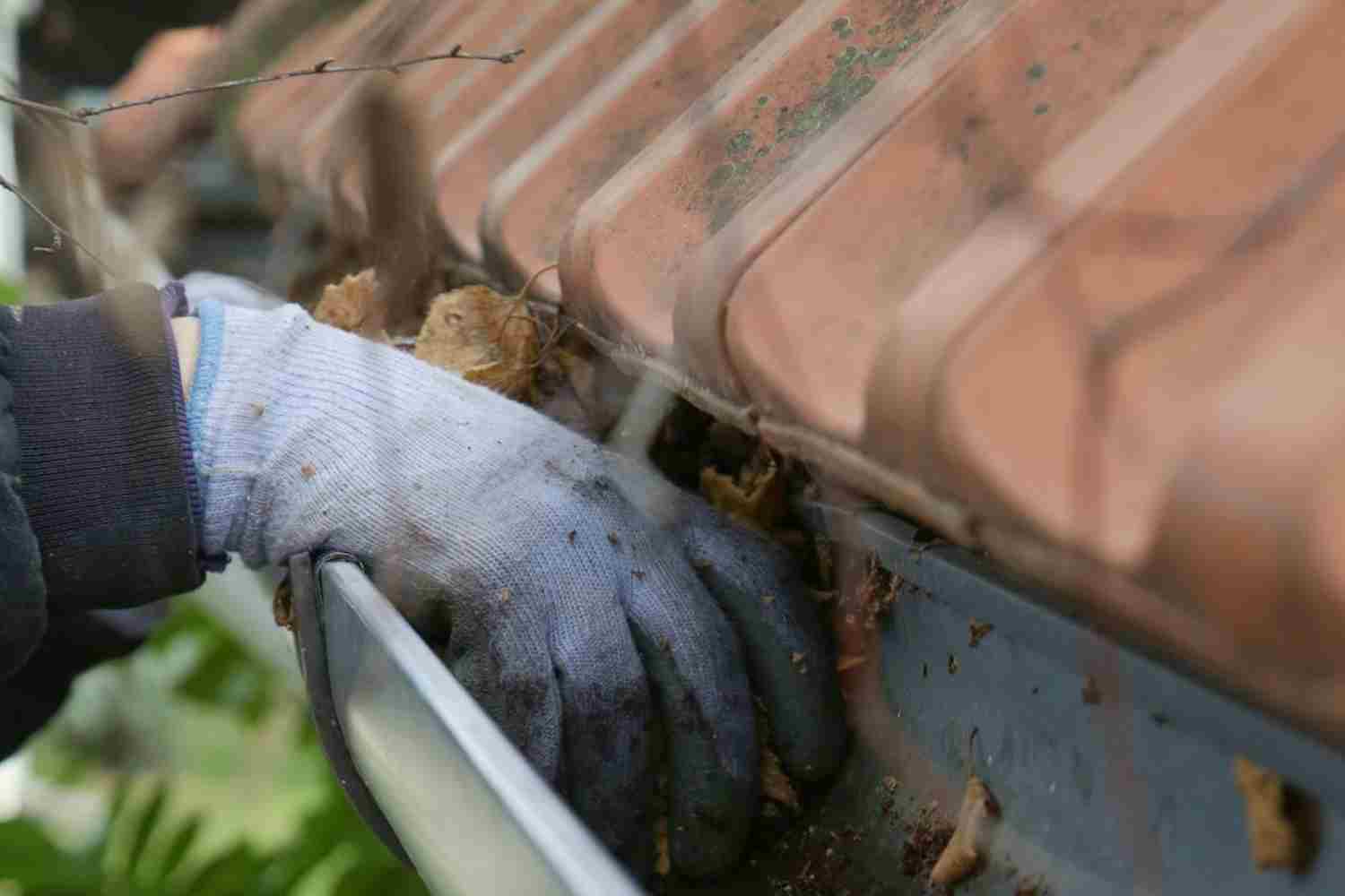 Cleaning Your Gutters