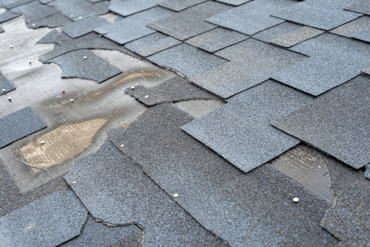 Signs of poor maintenace to shingled roof in Columbia