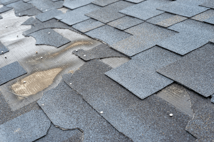 Signs of poor maintenace to shingled roof