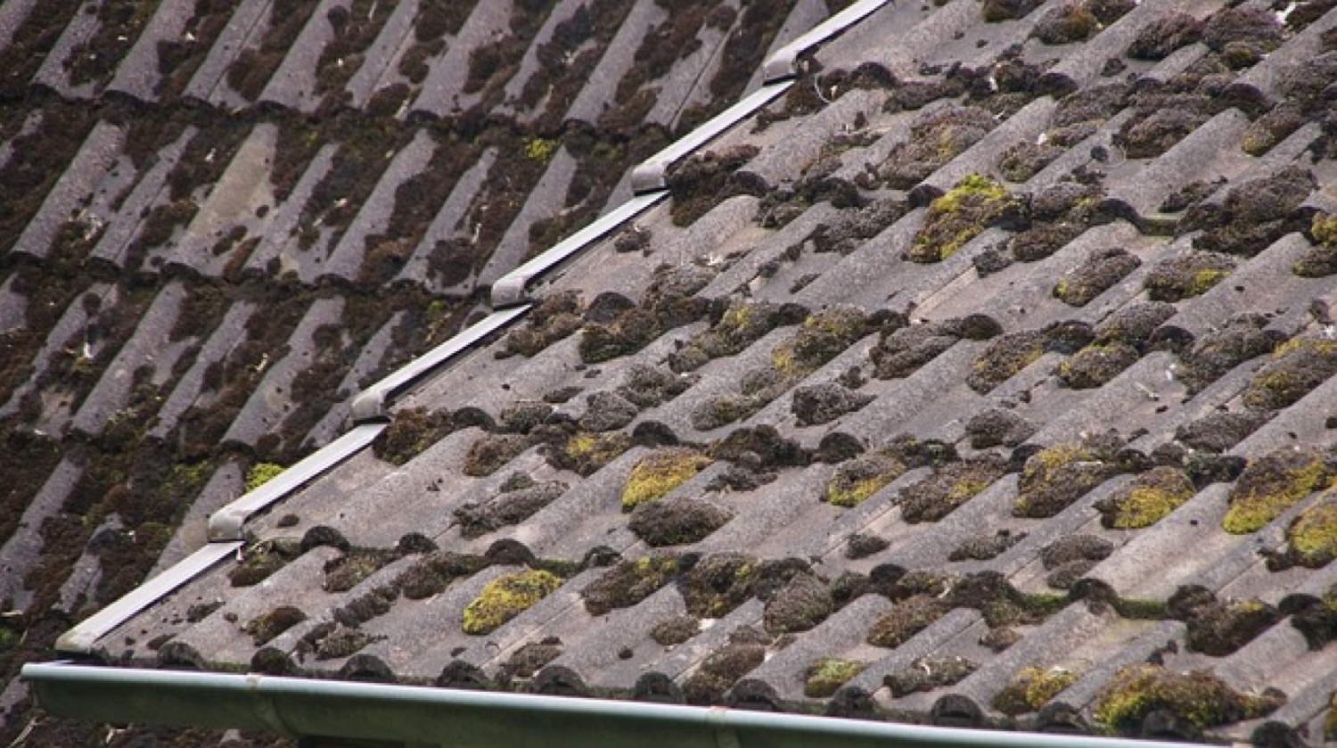 Damaged shingles on a roof