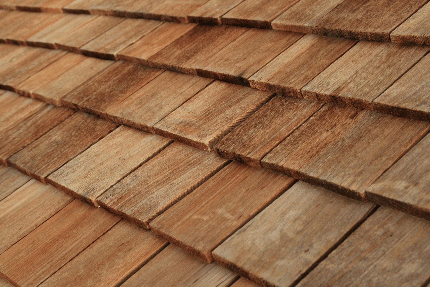 Illustration of cleaning and treating a cedar shake roof 