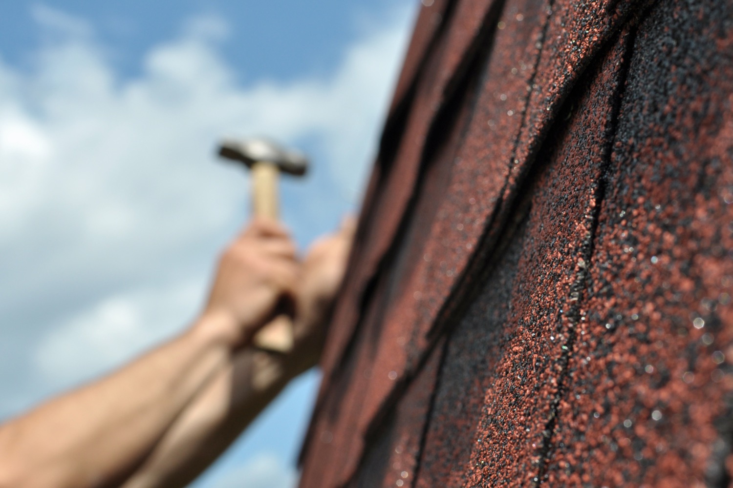 Shingle roof maintenance