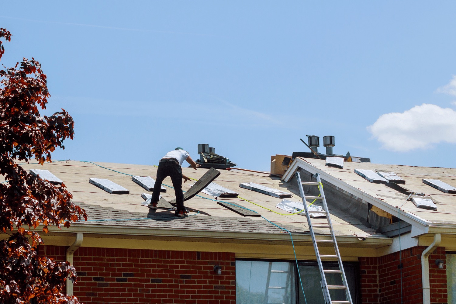 An illustration showing various roofing materials including asphalt shingles, metal roofs, and tile roofs, emphasizing their lifespan. 