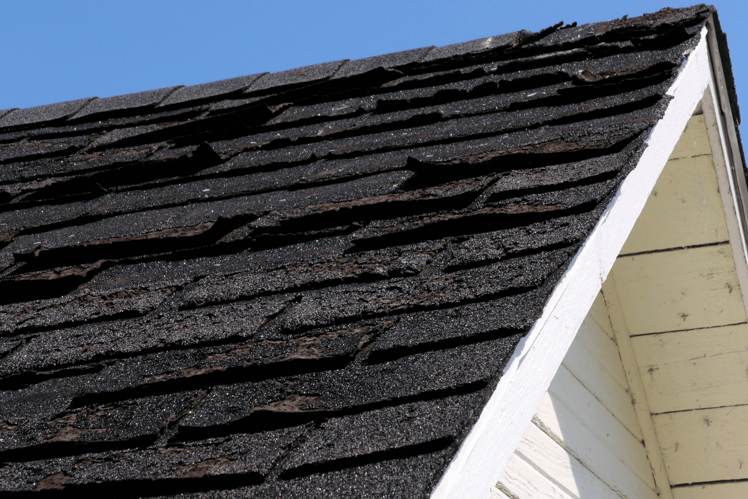 An illustration showing signs that indicate the need to install a new roof. 