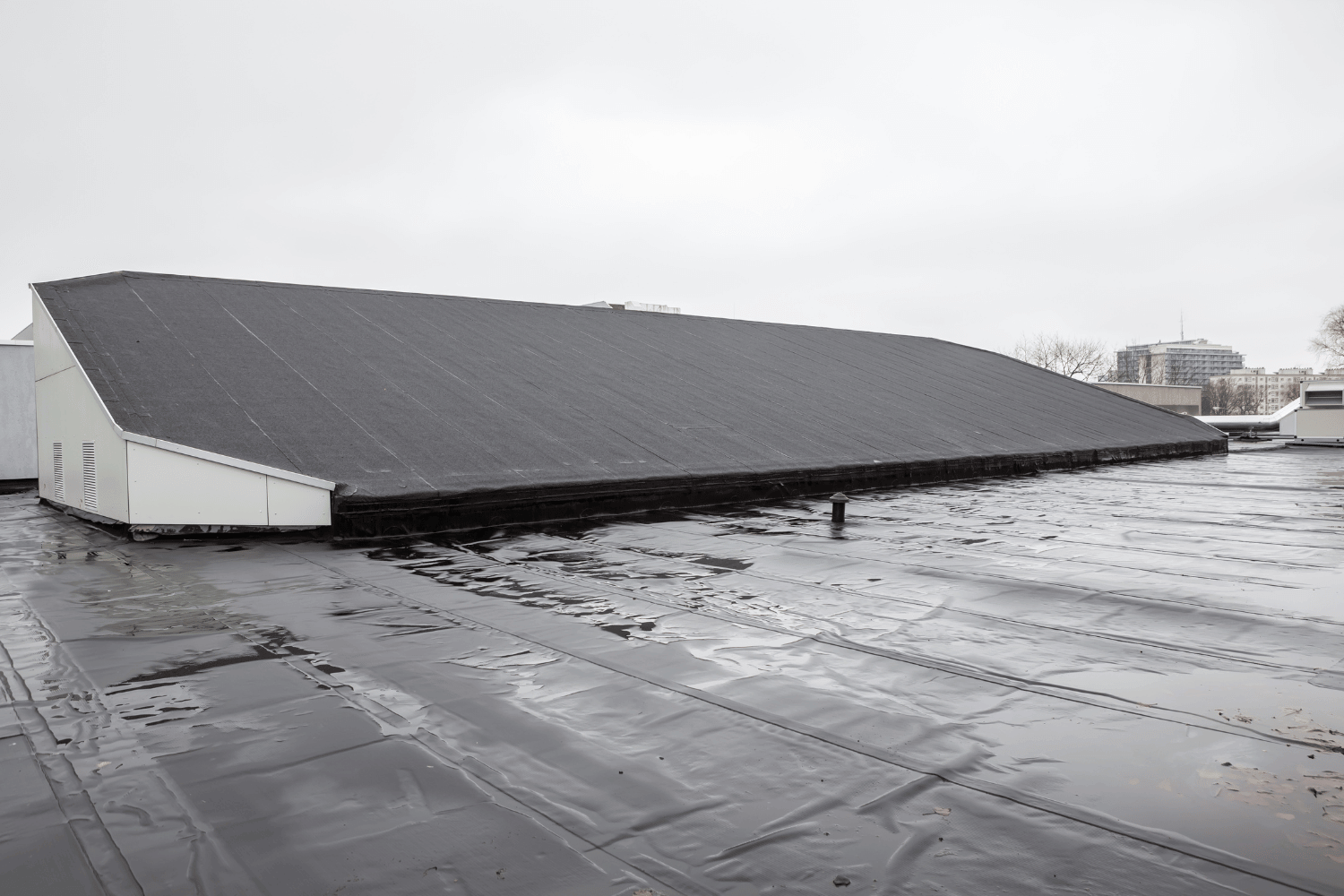 An overview of common issues with flat roofs, including signs of roof leaks and pooling water. 