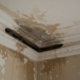 roof leak