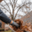 A person is seen using their hands to remove autumn leaves from a residential gutter system, ensuring that the gutters are clear to prevent ice dams and water backing up during the winter months. This roof maintenance task is essential for Missouri homeowners to prepare their roofs for the harsh winter weather ahead.